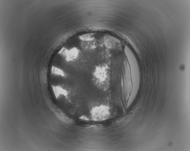 X0000116870447201002021130