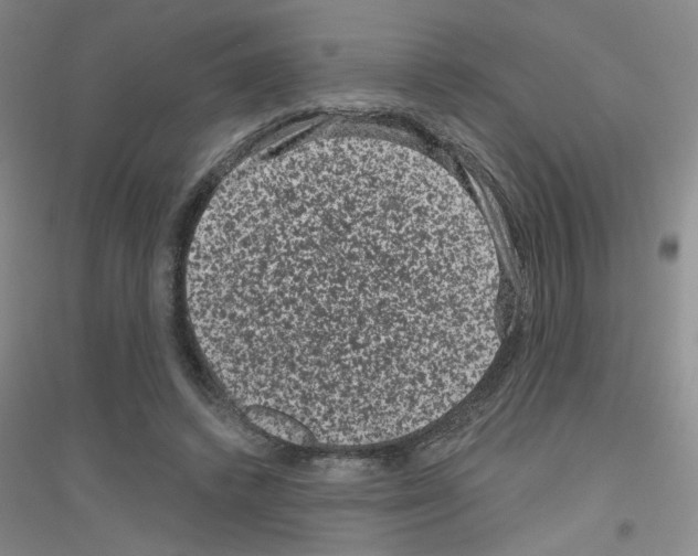 X0000116870448201002021130