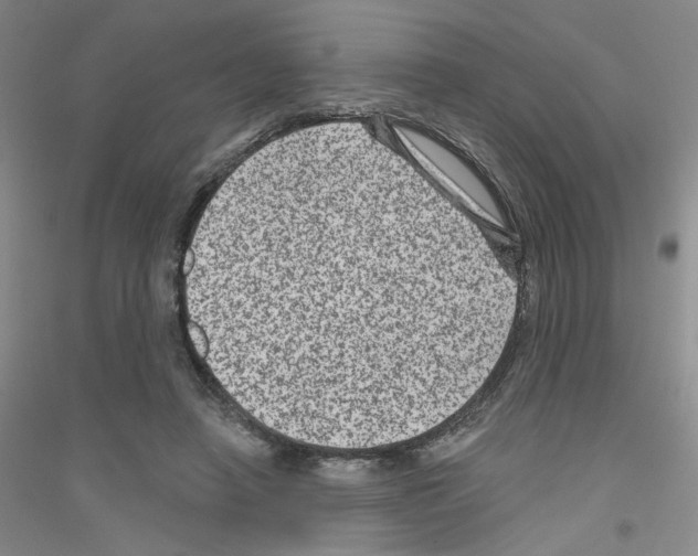 X0000116870450201002021131