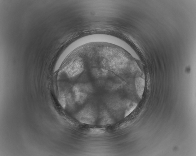 X0000116870451201002021131