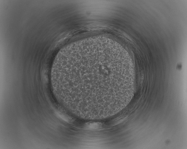 X0000116870452201002021131