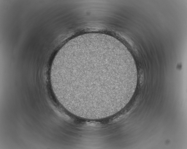 X0000116870455201002021131