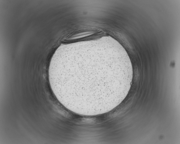 X0000116870457201002021131