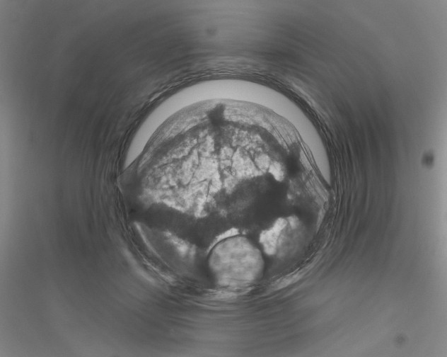 X0000116870459201002021131