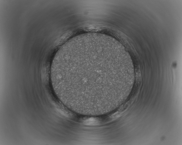 X0000116870460201002021131