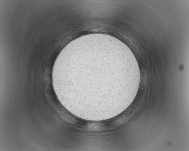 X0000116870461201002021131