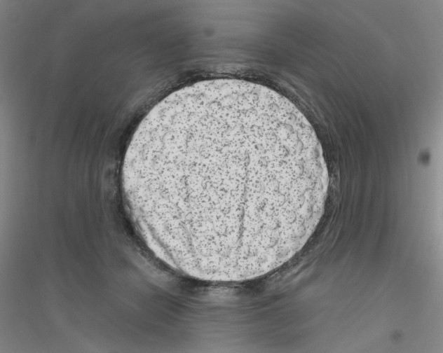 X0000116870462201002021131
