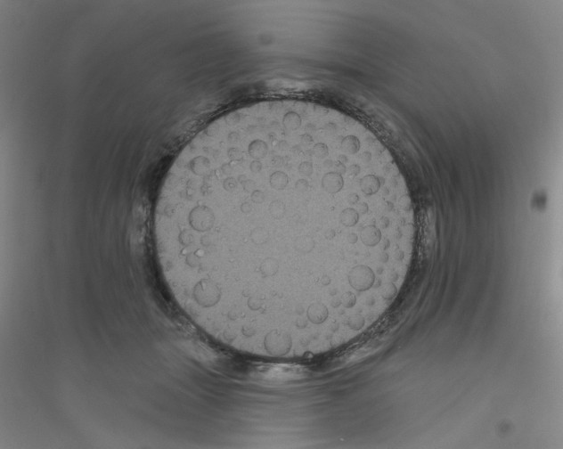 X0000116870463201002021131