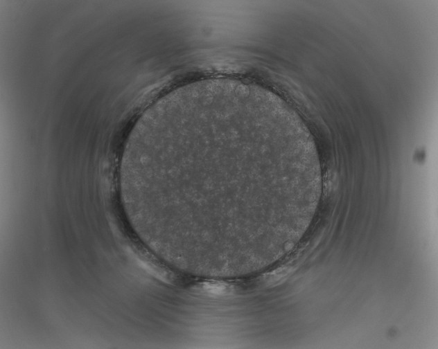 X0000116870464201002021131