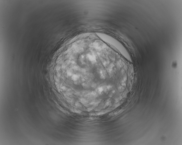 X0000116870465201002021131