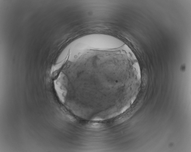X0000116870467201002021131