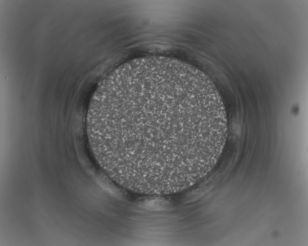 X0000116870468201002021131