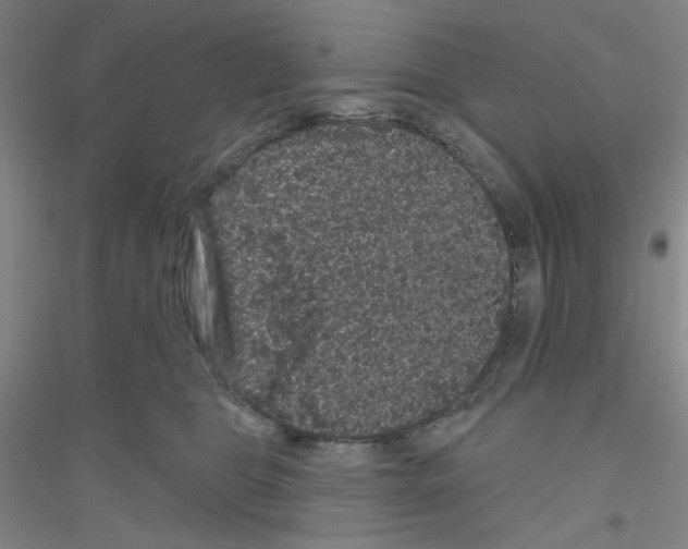 X0000116870469201002021131