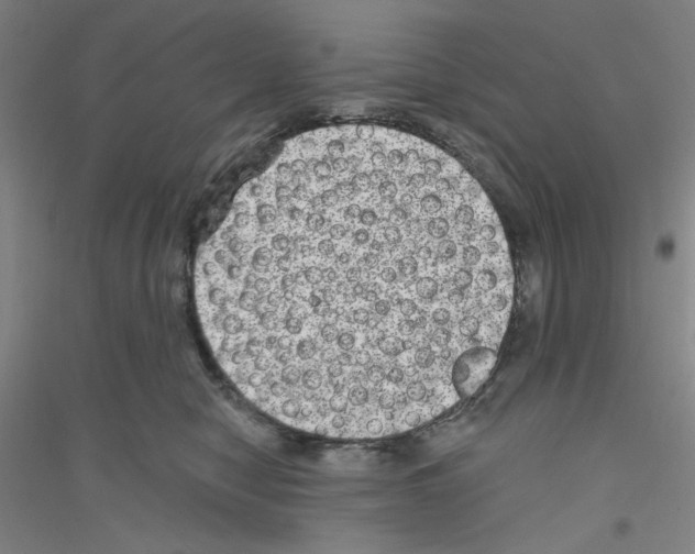 X0000116870470201002021131