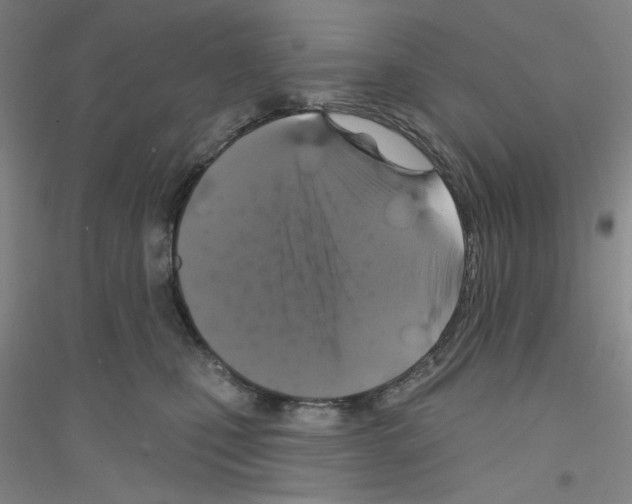 X0000116870471201002021131