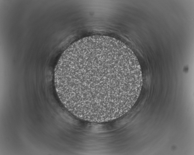 X0000116870472201002021131