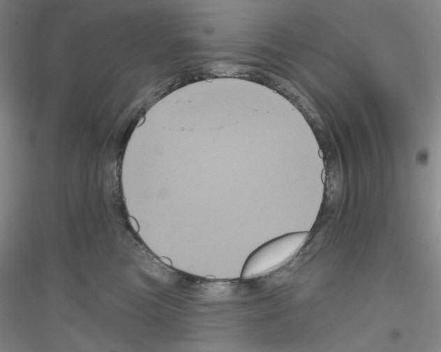 X0000116870473201002021131