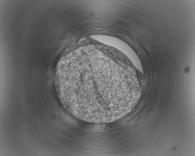 X0000116870474201002021131