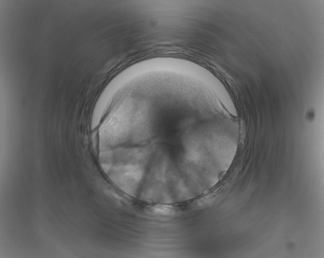 X0000116870475201002021131