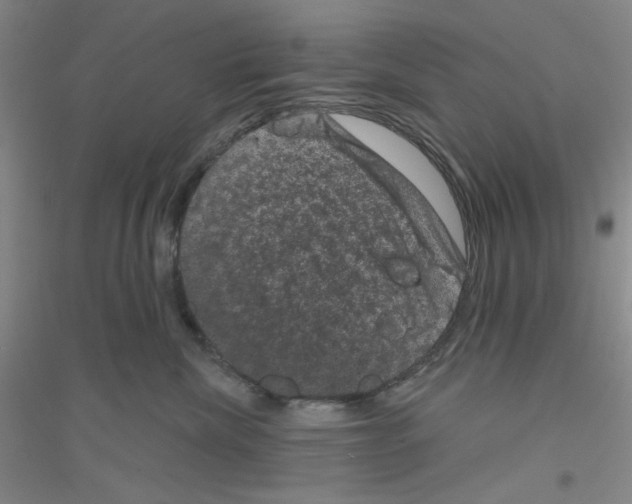 X0000116870476201002021131