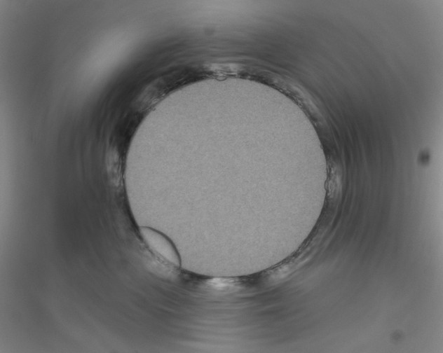 X0000116870477201002021131