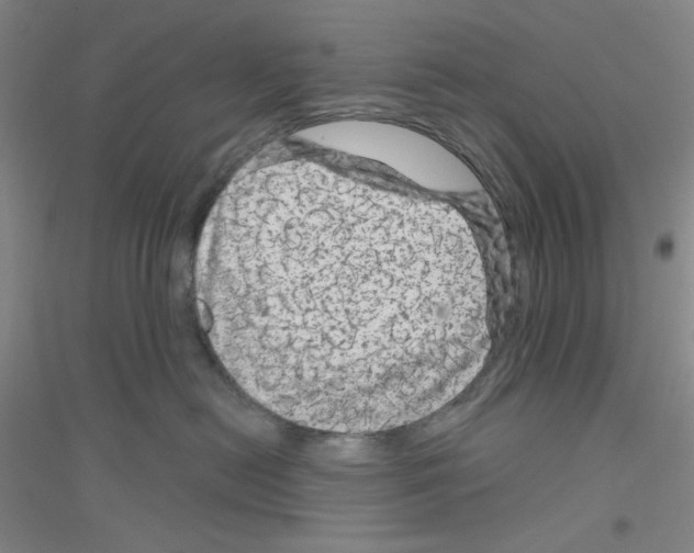 X0000116870478201002021131