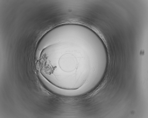X0000116870481201002021130