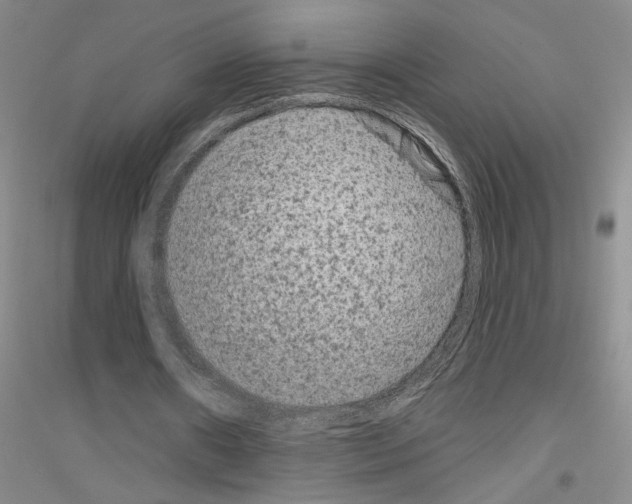 X0000116870482201002021130