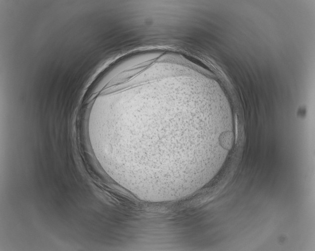 X0000116870483201002021130