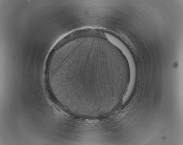 X0000116870484201002021130
