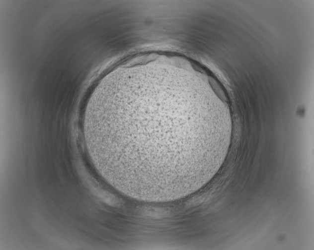 X0000116870486201002021130
