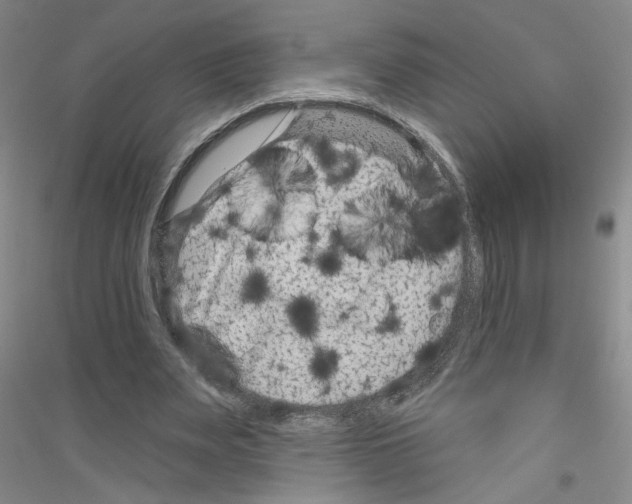 X0000116870487201002021130