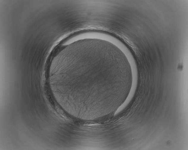 X0000116870488201002021130