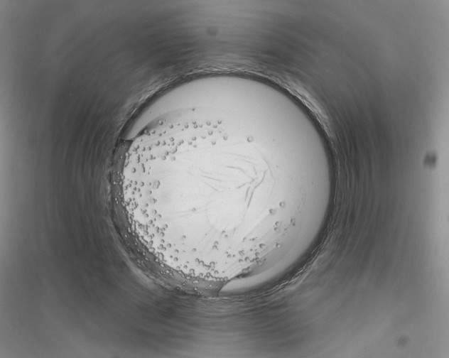 X0000116870489201002021130
