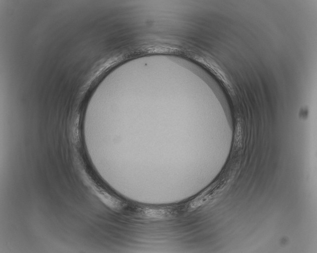 X0000116870490201002021130