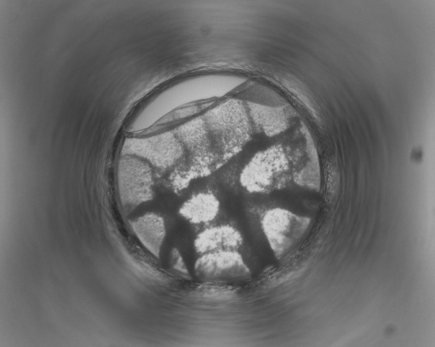 X0000116870491201002021130