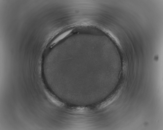 X0000116870493201002021130