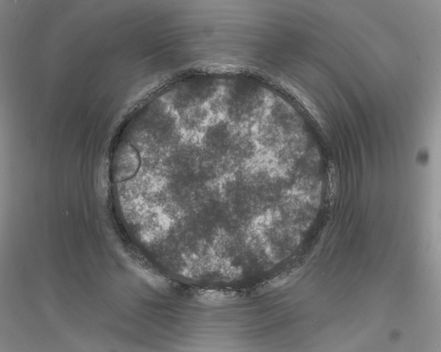 X0000116870494201002021130