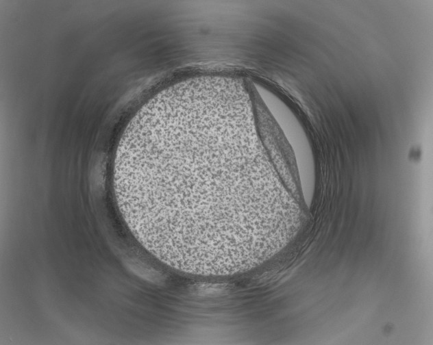 X0000116870495201002021130