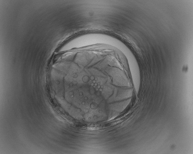 X0000116870496201002021130