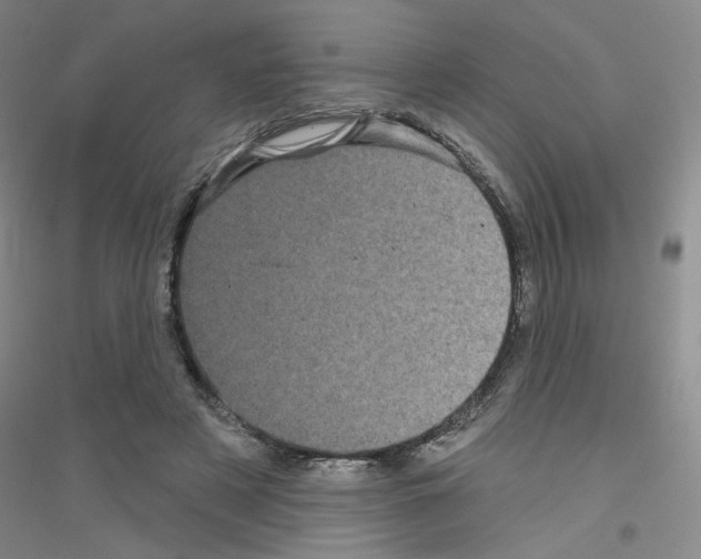 X0000116870497201002021130