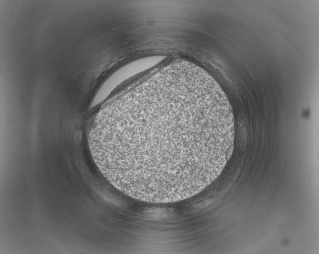 X0000116870499201002021130