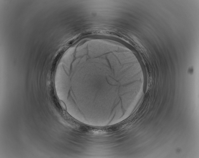 X0000116870500201002021130