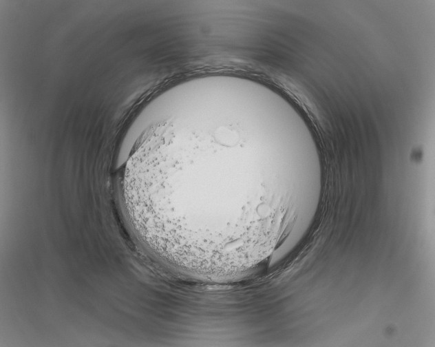 X0000116870501201002021130