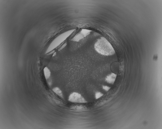 X0000116870503201002021130