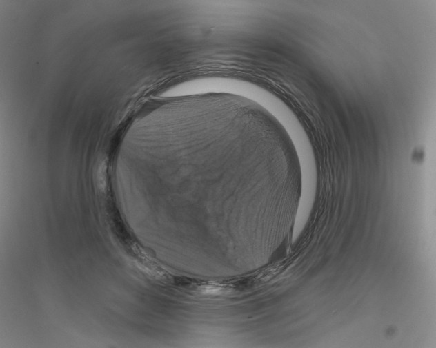 X0000116870504201002021130