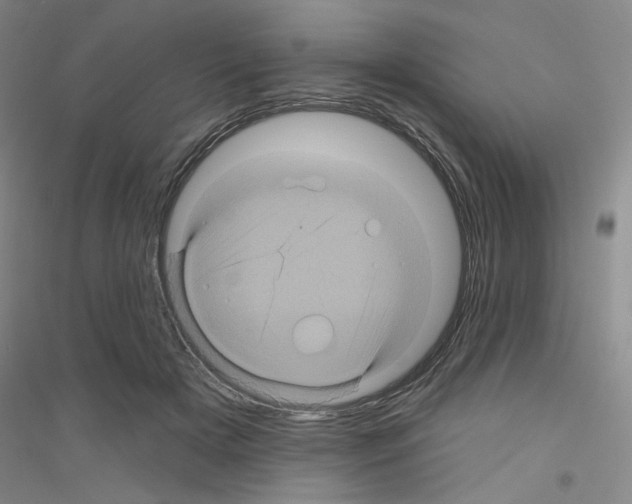X0000116870505201002021130