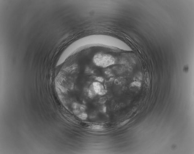 X0000116870507201002021130