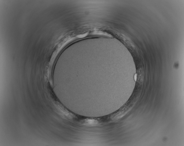 X0000116870509201002021130