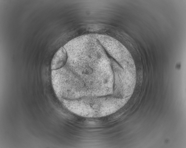 X0000116870510201002021130